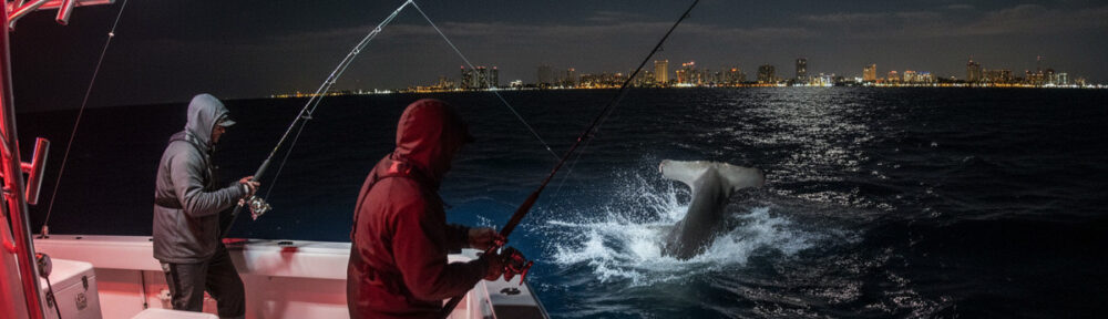 Night Shark Fishing Adventures in Fort Lauderdale Waters